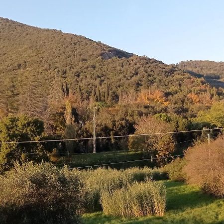 Apartament Il Pettirosso Monsummano Terme Zewnętrze zdjęcie