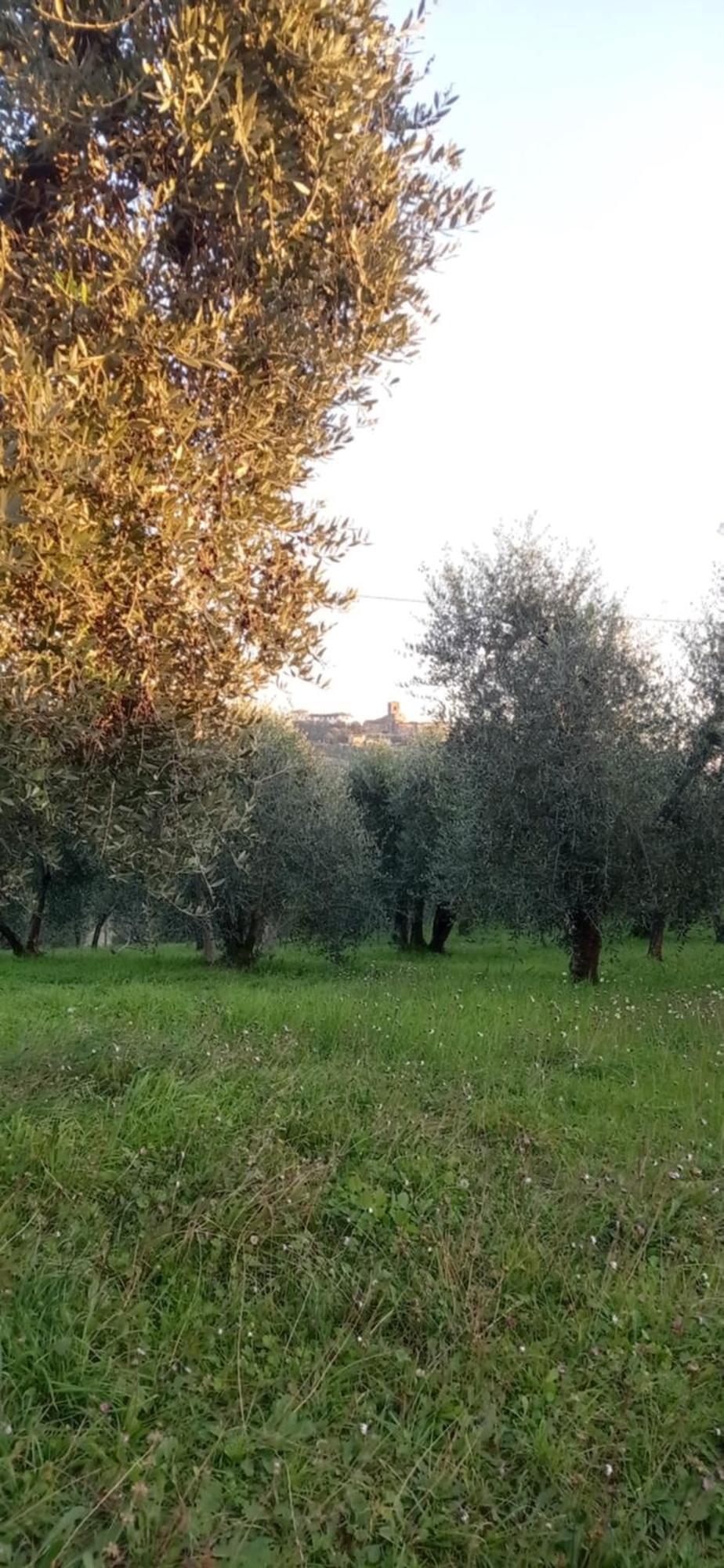 Apartament Il Pettirosso Monsummano Terme Zewnętrze zdjęcie