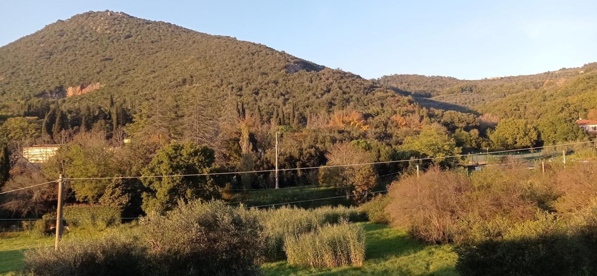 Apartament Il Pettirosso Monsummano Terme Zewnętrze zdjęcie