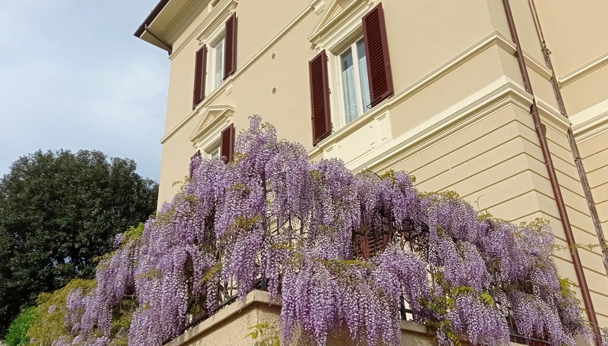 Apartament Il Pettirosso Monsummano Terme Zewnętrze zdjęcie